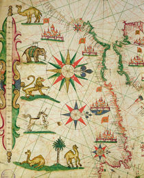 The North African Coast, from a nautical atlas by Pietro Giovanni Prunes