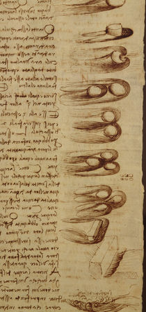 Scientific diagrams, from the 'Codex Leicester' von Leonardo Da Vinci