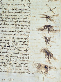 Scientific diagrams, from the 'Codex Leicester' by Leonardo Da Vinci