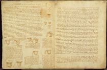 A page from the Codex Leicester von Leonardo Da Vinci