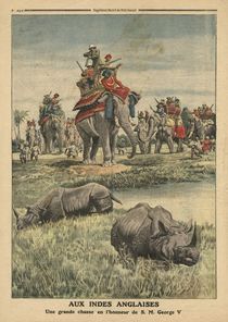 A rhinoceros hunt in honour of King George V von French School