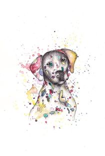 Rainbow Dalmatian by Jessica May