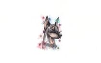 Delicate Doberman von Jessica May