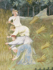 Harvesting sheaves of grain von Italian School