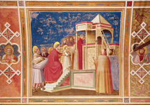 The Presentation of the Virgin at the Temple by Giotto di Bondone