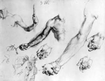 Studies for the arm of Adam von Albrecht Dürer
