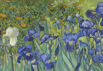 Irises, 1889 von Vincent Van Gogh