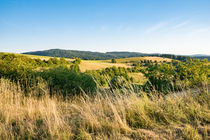 Goldgelbe Hügel im Hochsommer by Ronald Nickel