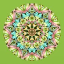 Mandala by Gabi Siebenhühner