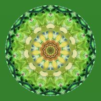 Mandala von Gabi Siebenhühner