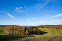 Ein Hauch von Frühling liegt über der Landschaft von Ronald Nickel