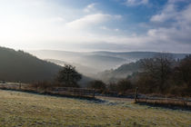 Frostiger Morgennebel by Ronald Nickel