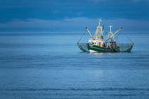 Krabbenkutter auf der Nordsee von Rico Ködder