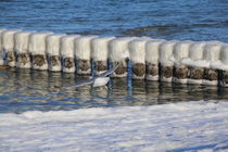 Buhnen im Winter an der Ostsee von frakn