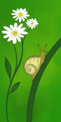 Schnecke von Gabi Siebenhühner