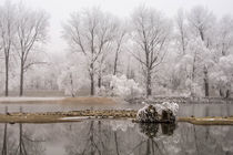 Winter am Fluß by Karin Stein