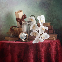 Weiße Orchidee von Nikolay Panov
