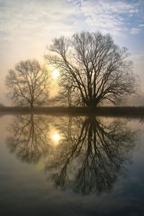 Bäume am Wasser by Bernhard Kaiser