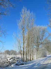 Schöner Winter by gscheffbuch