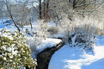 Wintergarten by gscheffbuch