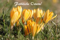 Fröhliche Ostern! von Simone Marsig