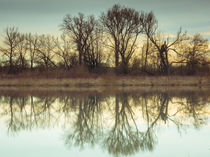 Abend am See von jazzlight