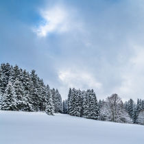 Winterlandschaft von jazzlight