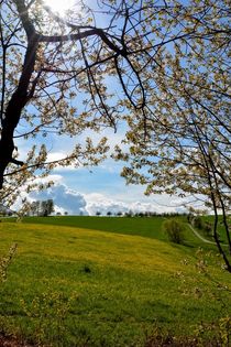 Frühling von Claudia Evans