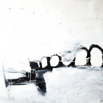 Landschaft schwarz weiß Flugzeug von Conny Wachsmann