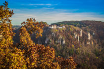 Burg Wildenstein von Christine Horn