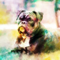 Bulldog Painting Colorful Art von Sapan Patel