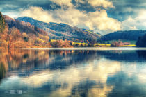 Reflections On A Lake von Nigel Finn