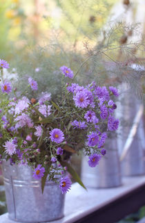 Bauerngarten von Peggy Graßler