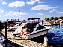 Wiggins Park Marina by Susan Savad