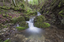 Steinbach Wasserfall by Rolf Meier