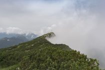 Benediktenwand  Osten by Rolf Meier