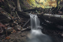 Stalllauer Bach Wasserfall von Rolf Meier