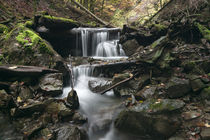 Stalllauer Bach Holzwasserfall von Rolf Meier