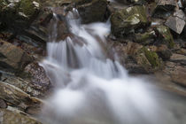 Stalllauer Bach kleiner Wasserfall by Rolf Meier