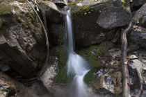 Stalllauer Bach Wasserrinnsal von Rolf Meier