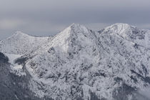 Herzogstand Ostseite Schnee von Rolf Meier