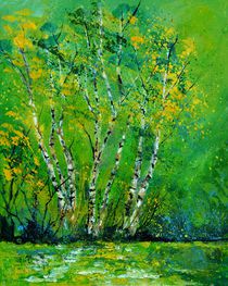 birchtrees 4551 by pol ledent