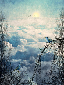 HEAVENLY BIRDS III Portrait von Pia Schneider