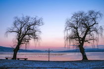 Winterabend auf der Insel Reichenau von Christine Horn
