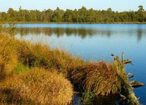 Grundloses Moor by gscheffbuch