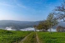 Sonniger Weg in den Nebel von Ronald Nickel