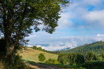 Die Wolken entsteigen dem Tal von Ronald Nickel