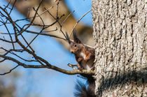 Was guckst Du? by Reto Bänninger