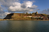 Whitby East Cliff by Rod Johnson