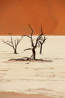 NAMIBIA ... Deadvlei II by meleah